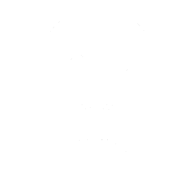 automotive industry icon_lightbulb